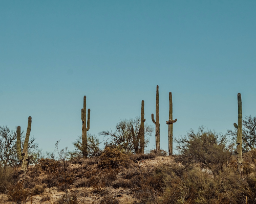 Queen Creek